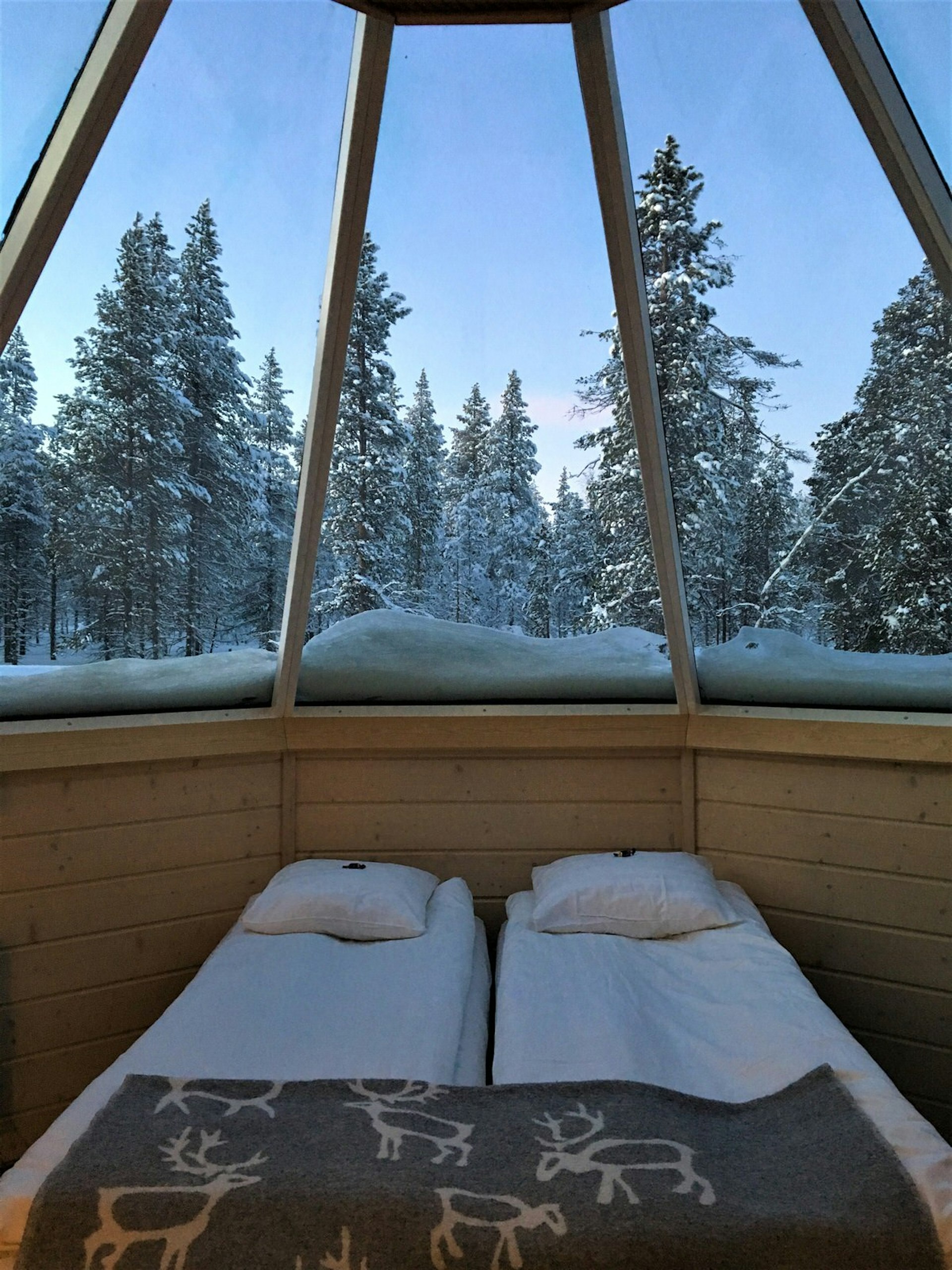 Twin beds under the large slated glass roof of an aurora cabin at the Northern Lights village.
