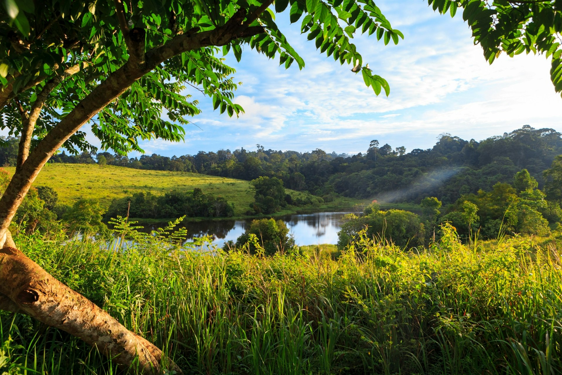 Nong Pak Chi Pond in Khao Yai National Park, Thailand ©Catherine Sutherland / Lonely Planet