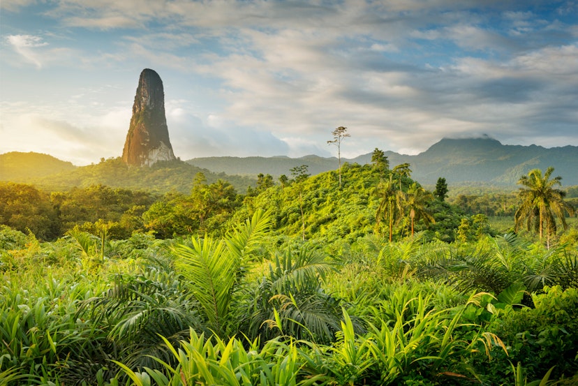 A massive rock tower, resembling an index finger bursts out of the jungle and rises into the sky © Justin Foulkes / Lonely Planet