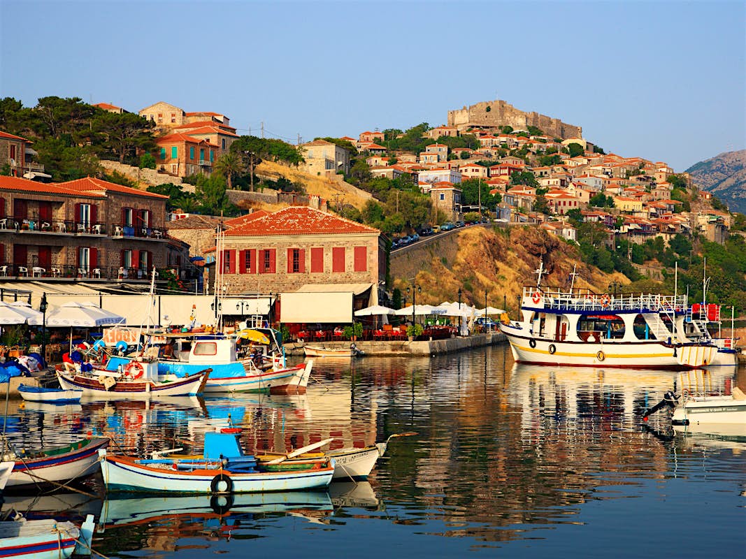 The Deep Aegean Exploring Lesvos And Chios Lonely Planet