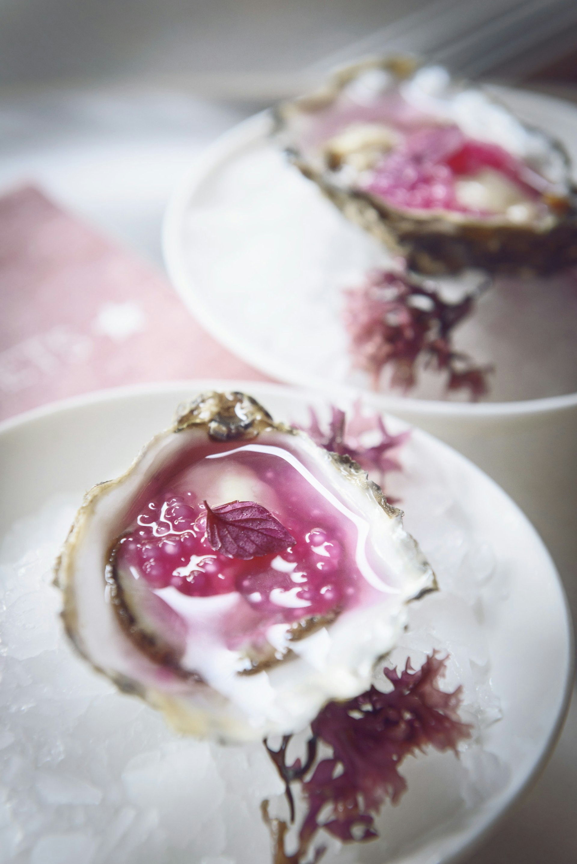 Oysters with shiso vinegar at Tickets © Jonathan Stokes / Lonely Planet