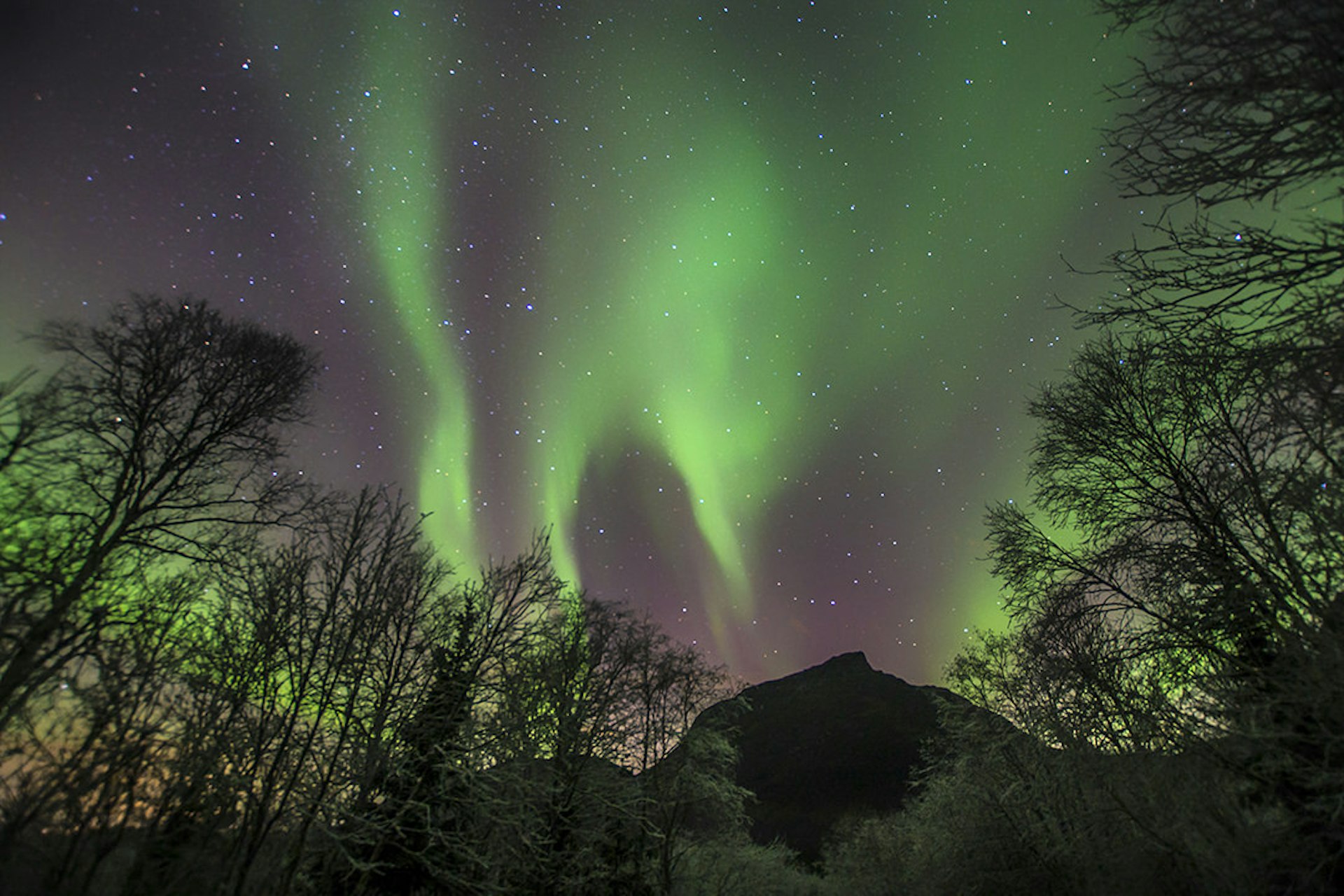 The northern lights, seen in Norway © Atlas and Boots