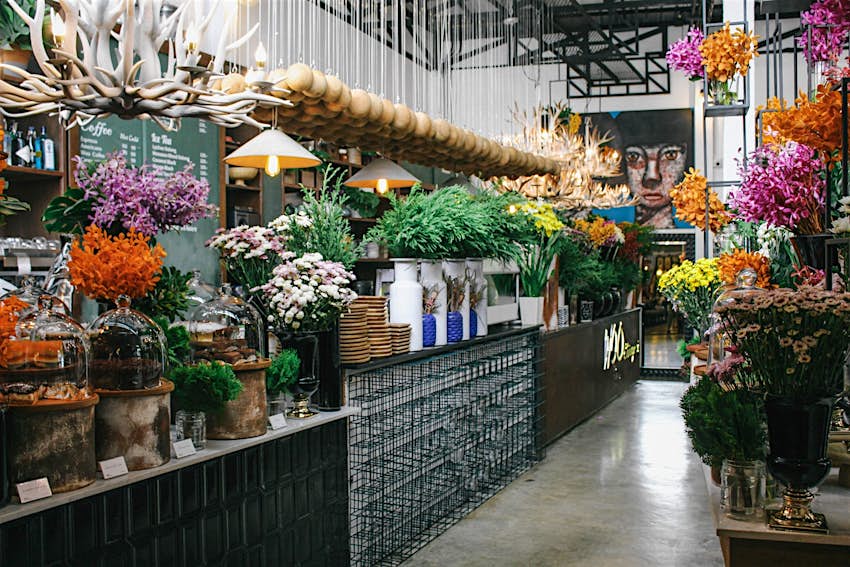 Features - Dine on traditional Thai or Western meals surrounded by foliage at Woo Cafe in Chiang Mai © Alana Morgan / Lonely Planet