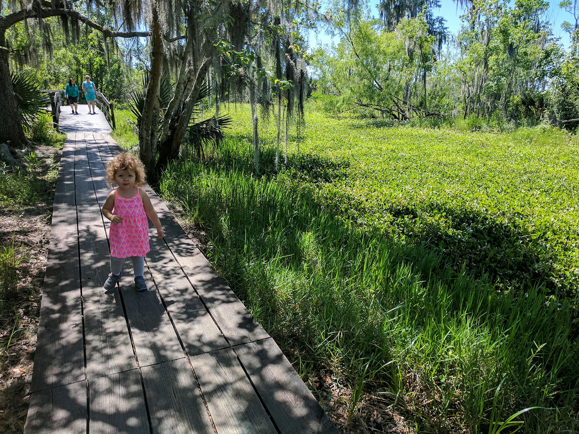 Toddler in a pink dress runs down a shaded boardwalk amid the greenery and Spanish moss-draped trees at Barataria Preserve © Adam Karlin / Lonely Planet
