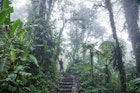 Features - Tourist on a track in the Monteverde Cloud Forest, Costa Rica