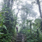 Features - Tourist on a track in the Monteverde Cloud Forest, Costa Rica