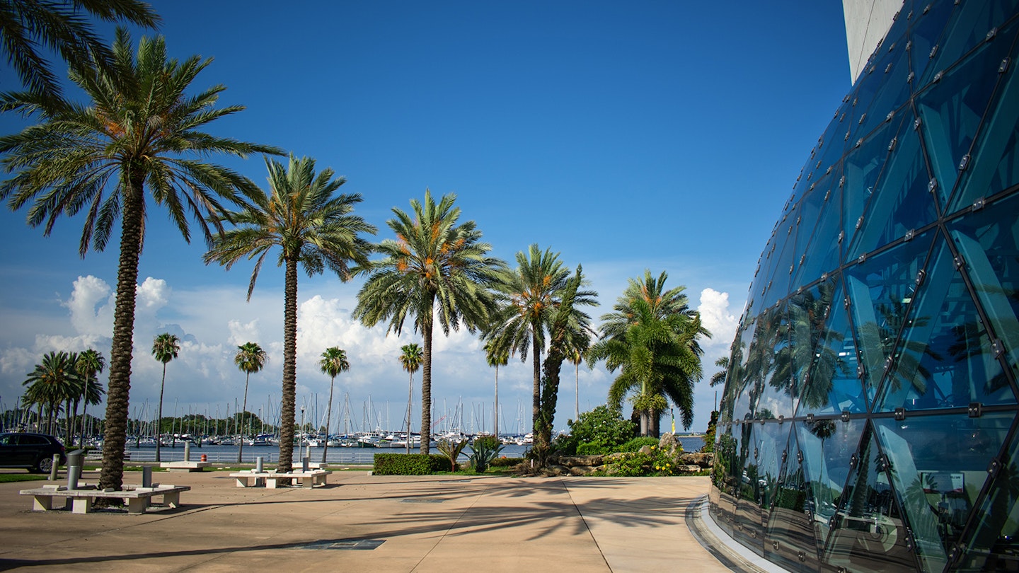 Palm trees line the rounded, glass exterior of the Salvador Dali museum in St Petersburg © Abbey Cory / Lonely Planet