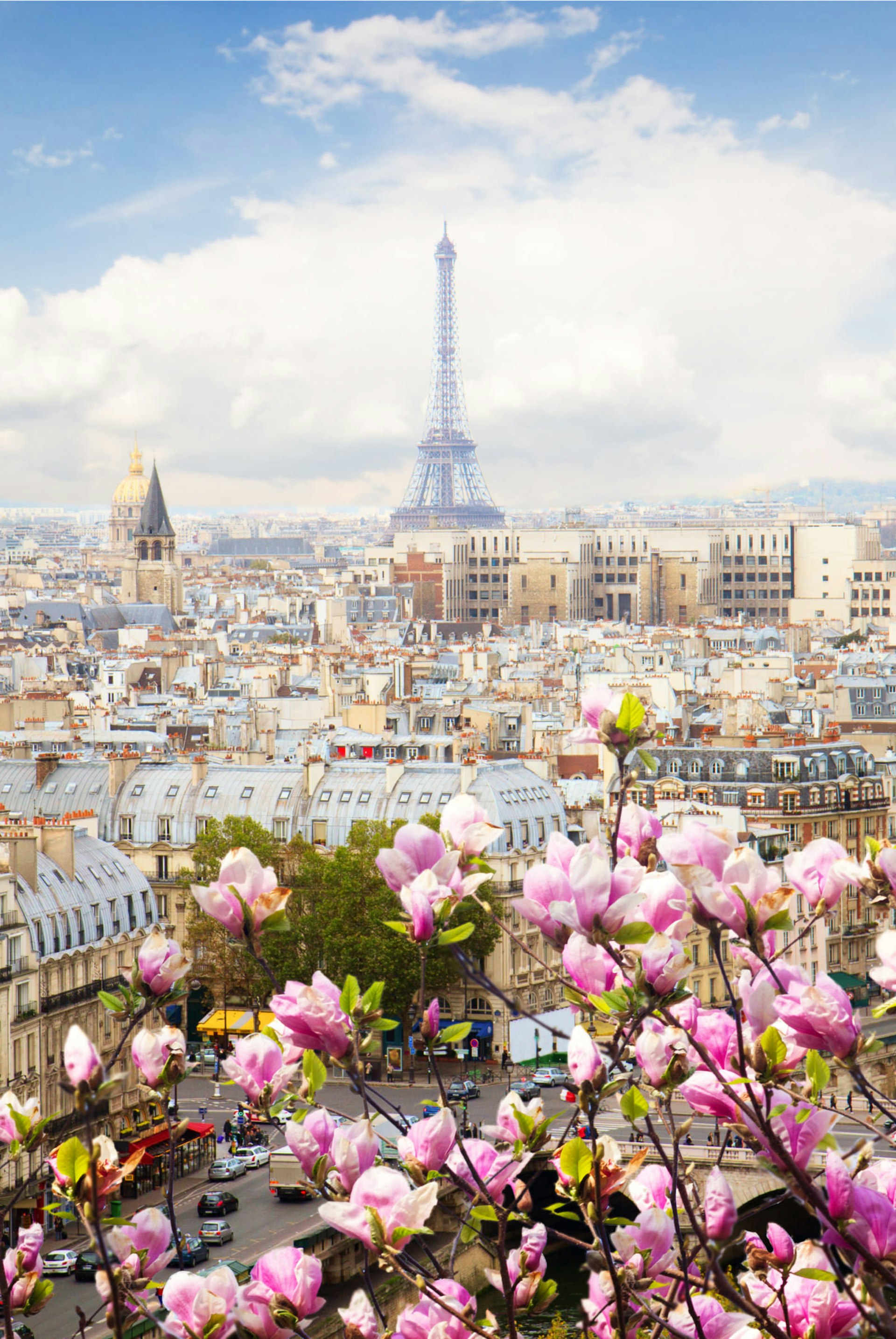 The Paris skyline including the Eiffel Tower through blooming a magnolia tree © Neirfy / Shutterstock