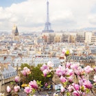 The Paris skyline including the Eiffel Tower through blooming a magnolia tree © Neirfy / Shutterstock