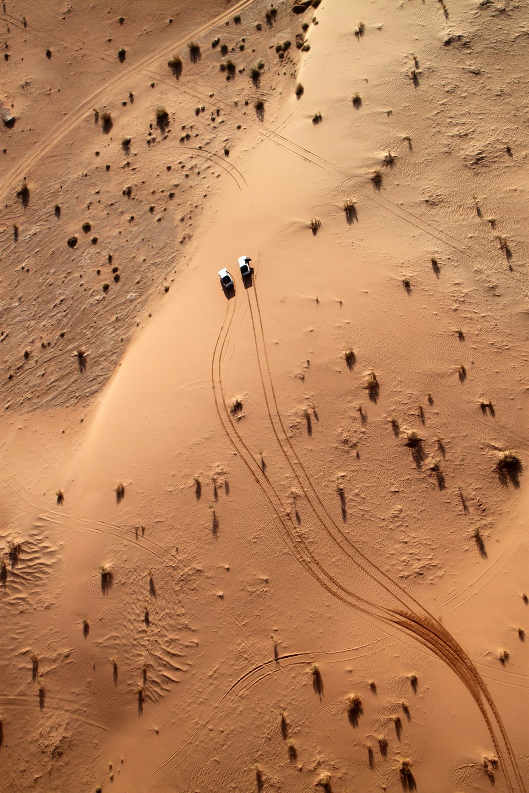 Wadi Rum desert view from a hot air balloon, Jordan © Claudia Fernandes / Shutterstock