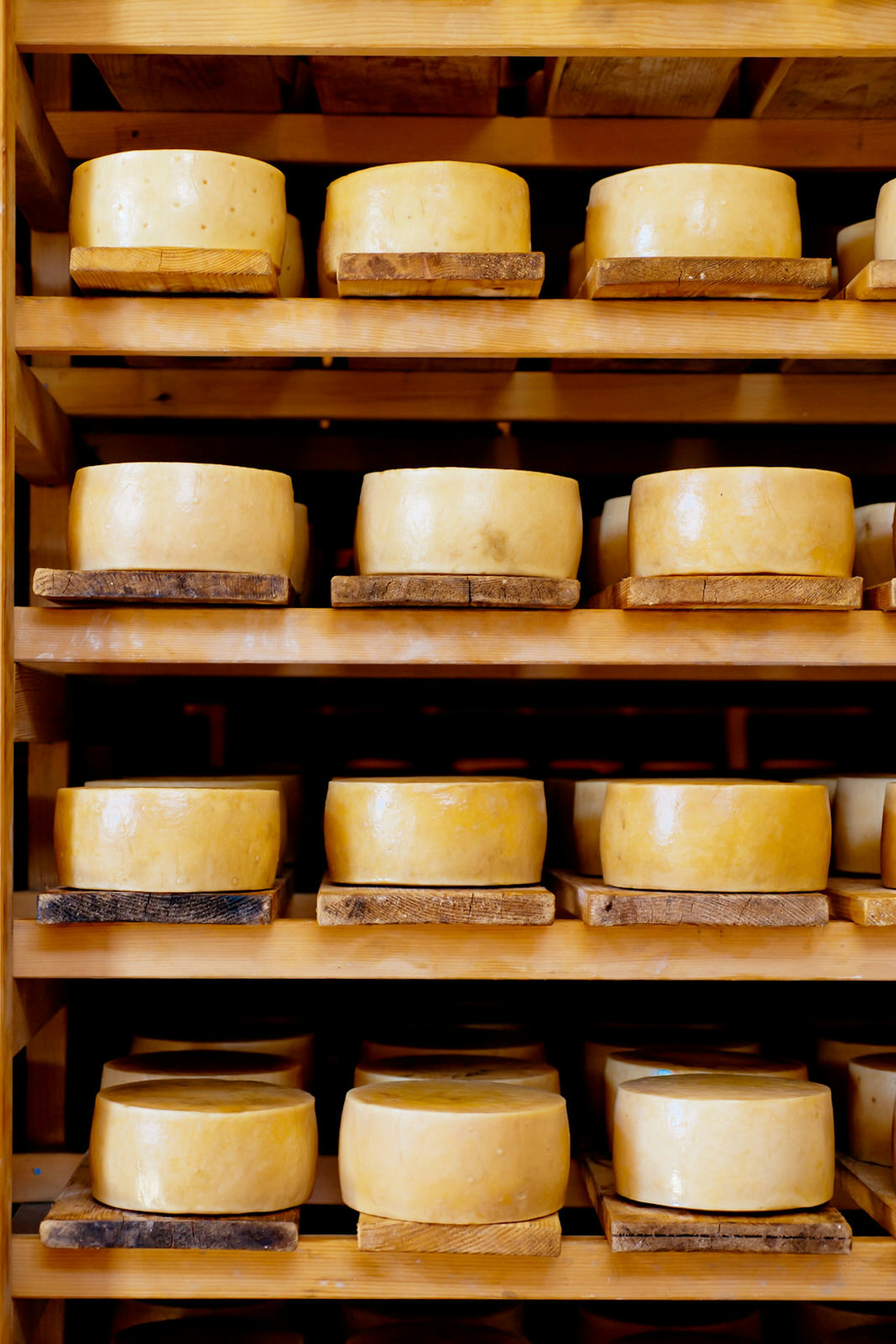 Shelves holding cheese rounds in a dairy © Tashka / Getty Images