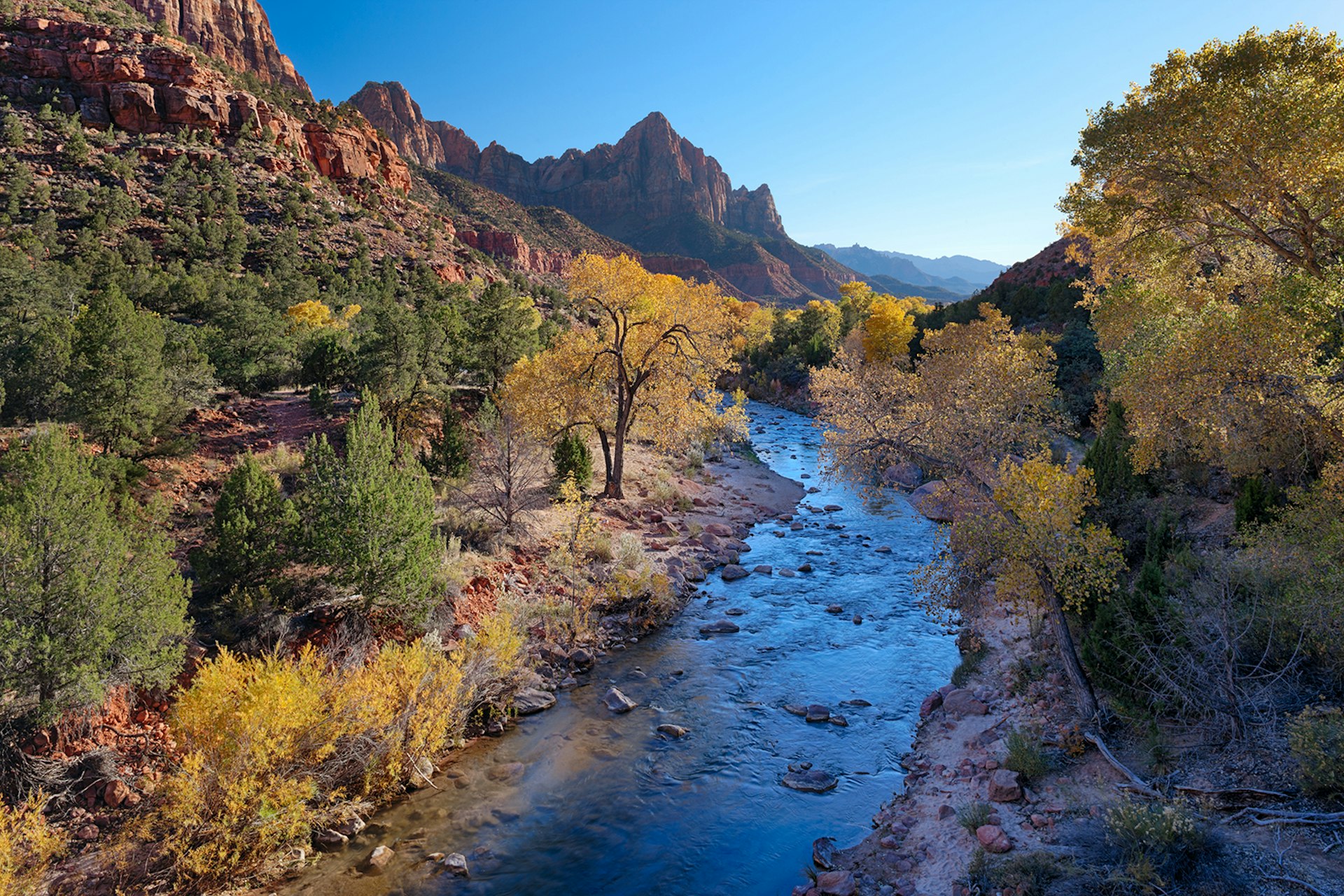 A river lined with yellow and green trees flows through Zion National Park, Utah