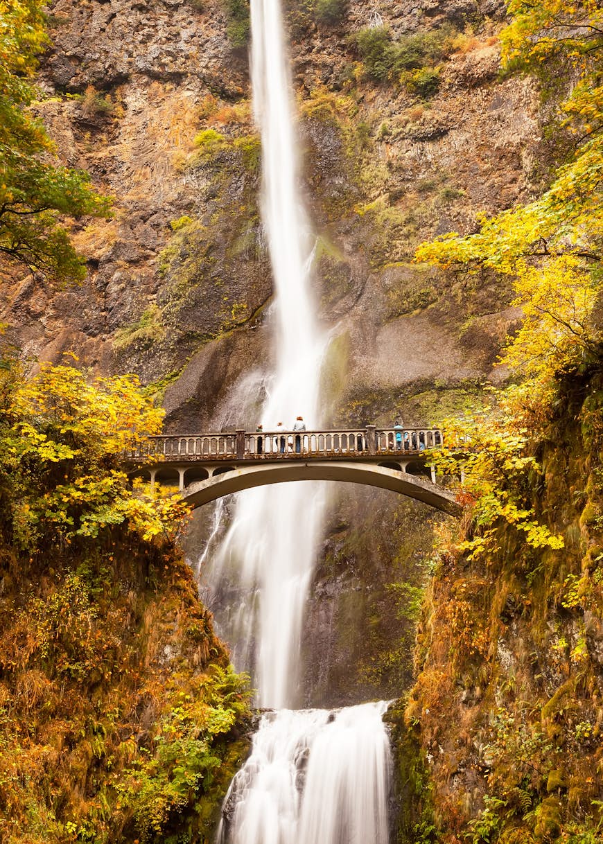 People on a bridge looking up at a waterfall surrounded by yellow fall foliage in the Columbia River Gorge, Oregon