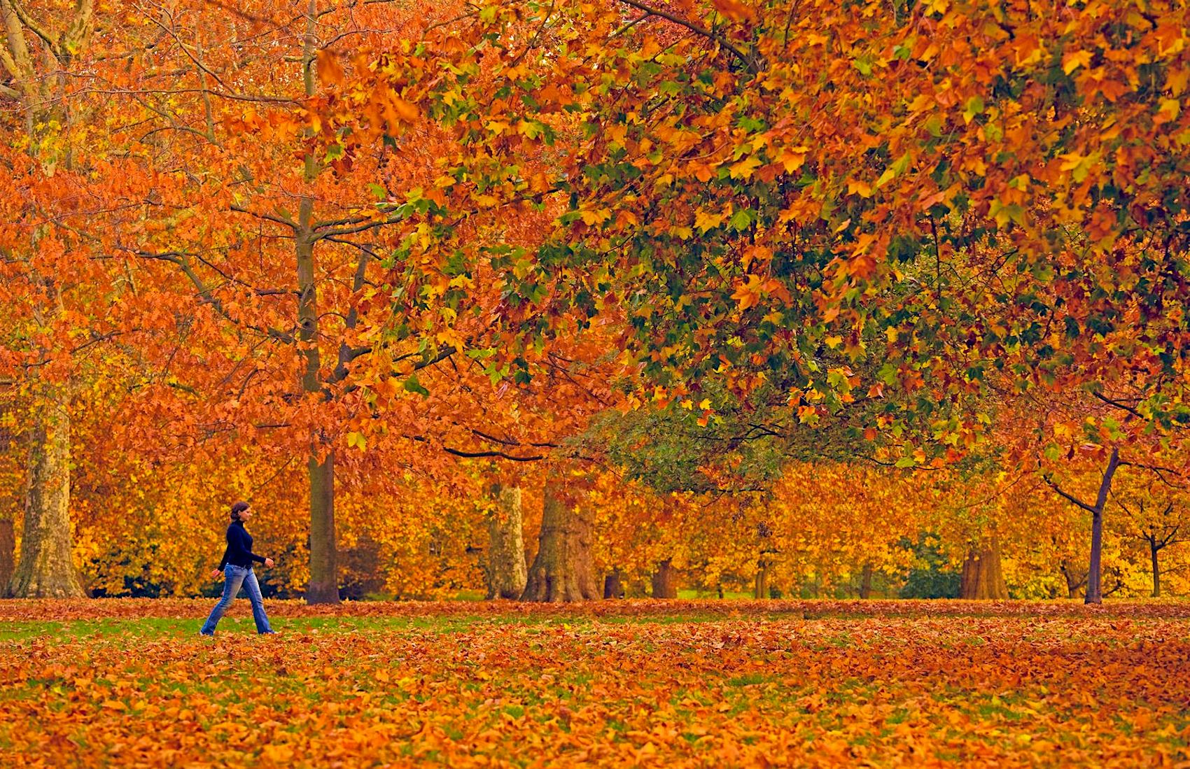 Осенний гайд парк