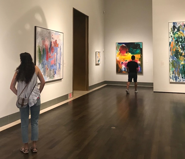 Museum visitors walk among the artwork at the Museum of Fine Arts Houston © Lisa Dunford / Lonely Planet
