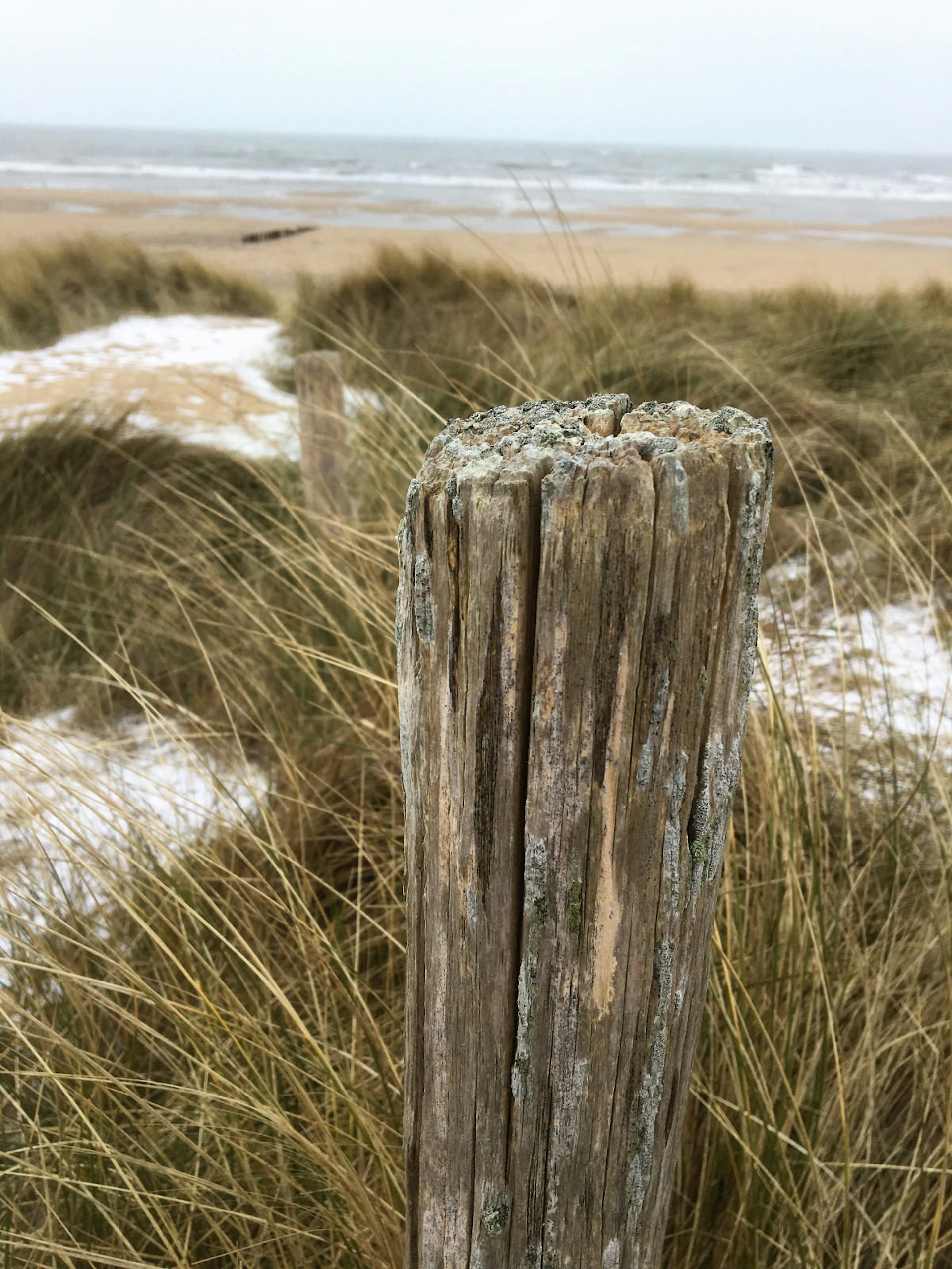 A weathered fencepost faces a windswept Juno Beach © Damian Harper / Lonely Planet