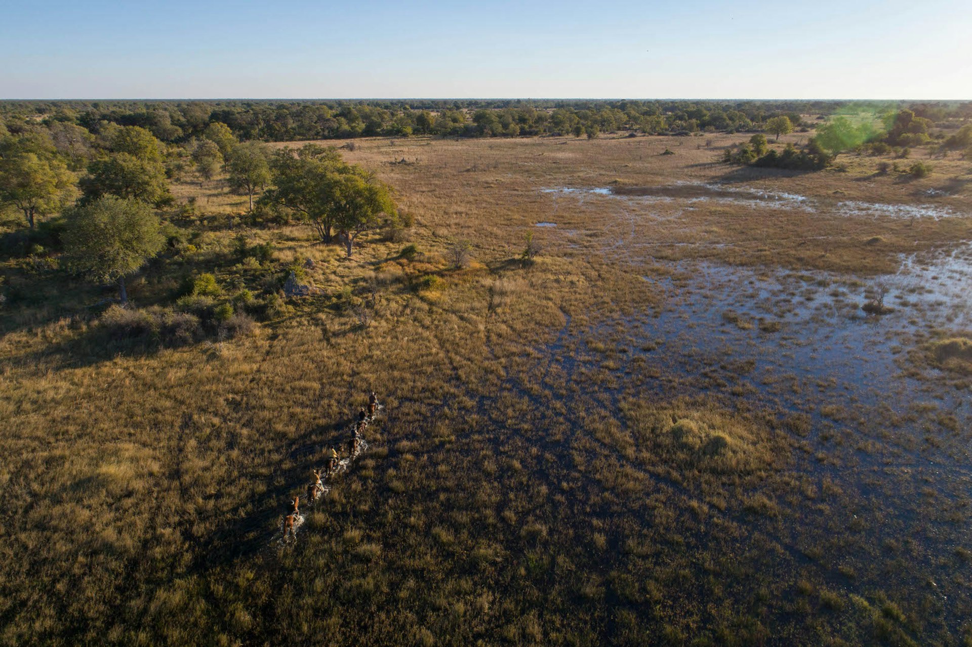 A group of people on horseback work their way through the flooded open grasslands of the Okavango Delta in single file © James Gifford / Lonely Planet