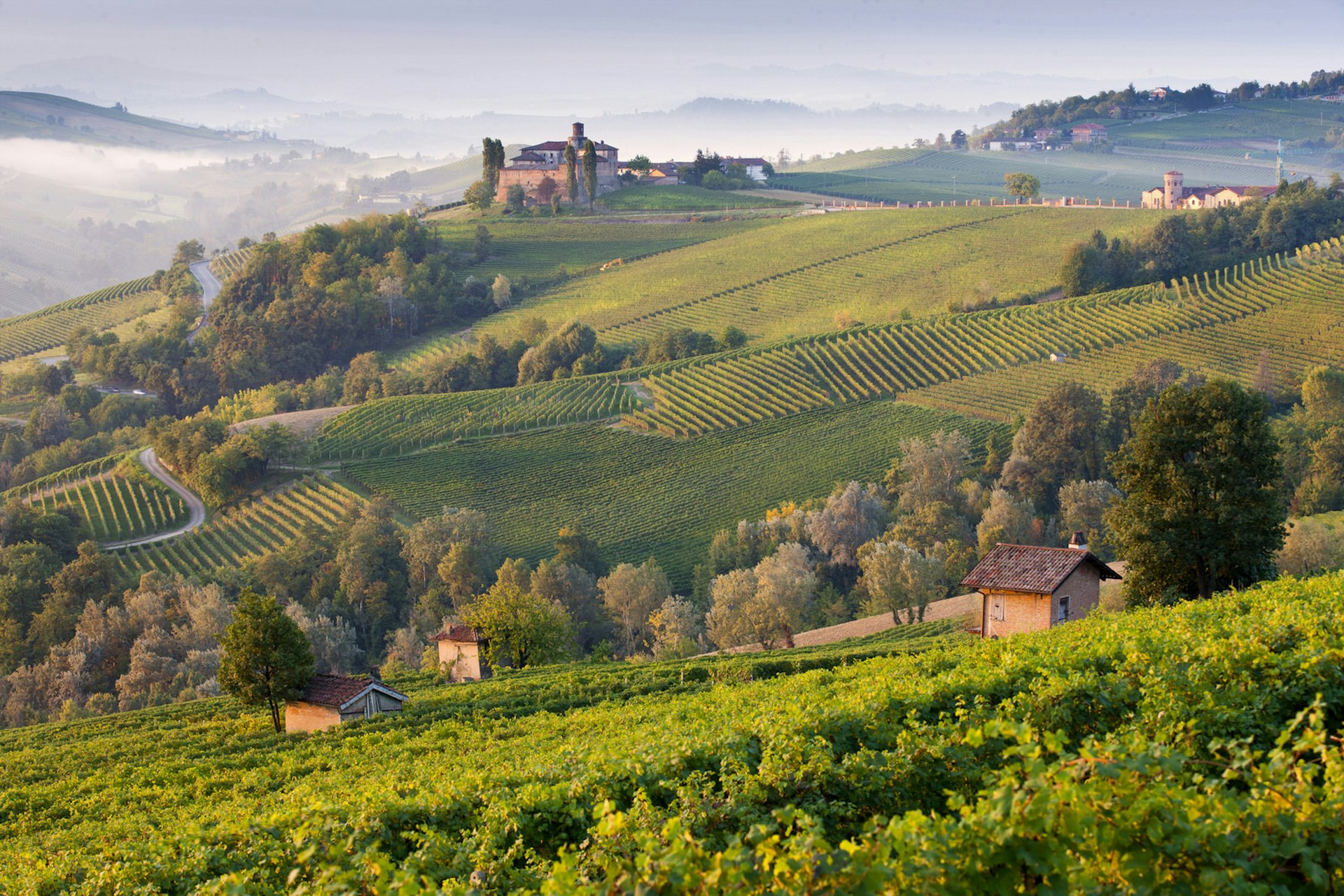Neat rows of vines dotted with historic villas and farmhouses © Slow Images / Getty Images