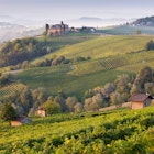 Features - Barolo rolling hills in Langhe, Piedmont Italy
