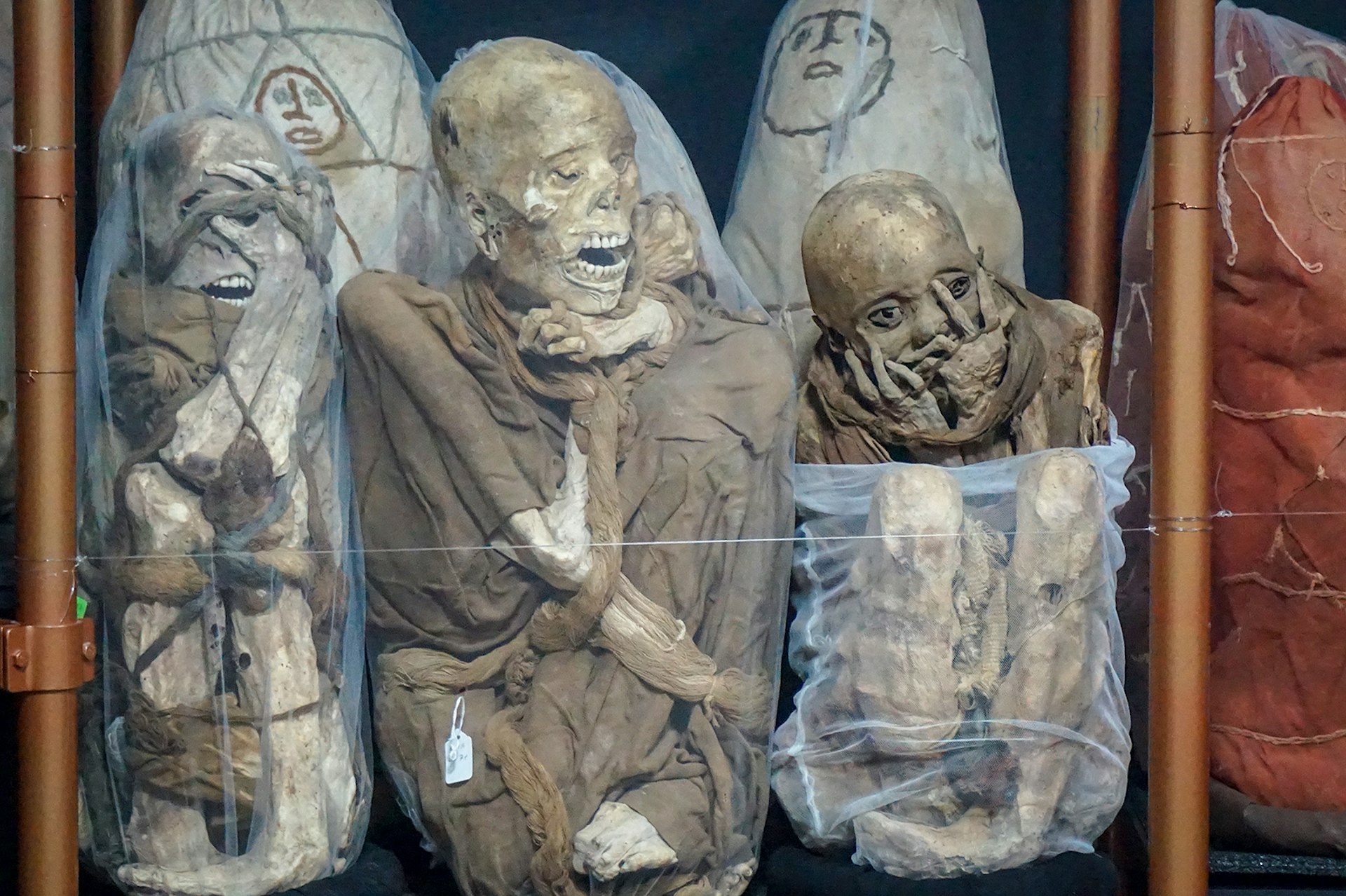 Three unwrapped mummies sitting in a museum case © Brendan Sainsbury / Lonely Planet