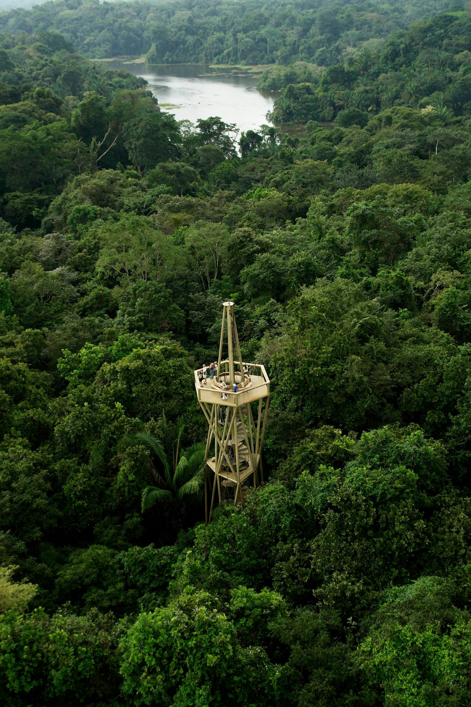 The observation deck at Panama Rainforest Discovery Center in Panama Fundación Avifauna Eugene Eisenmann