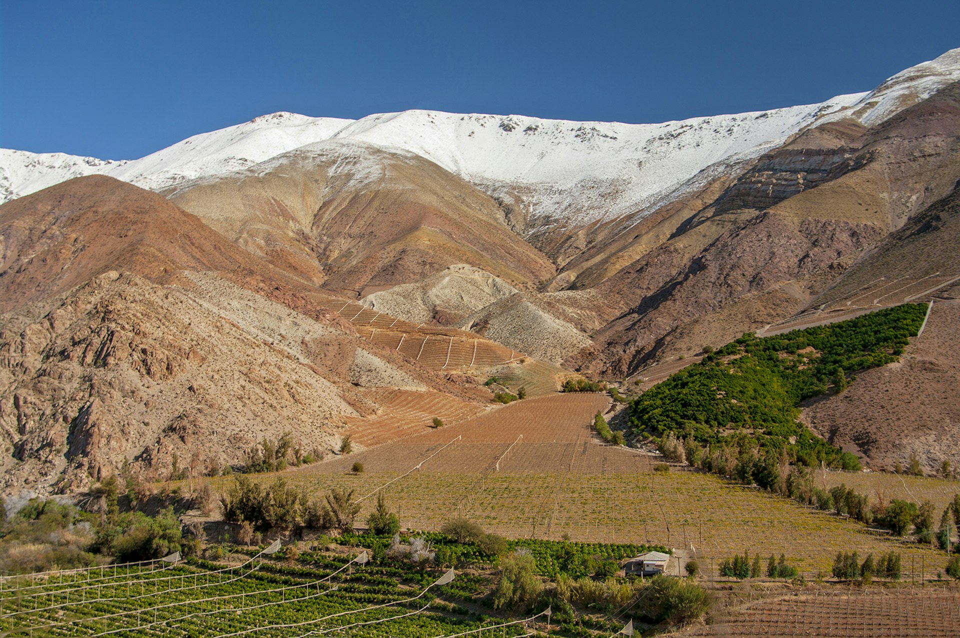 A valley floor covered in vineyards backing up to a snowcapped mountain range © Photography By Jessie Reeder / Getty Images