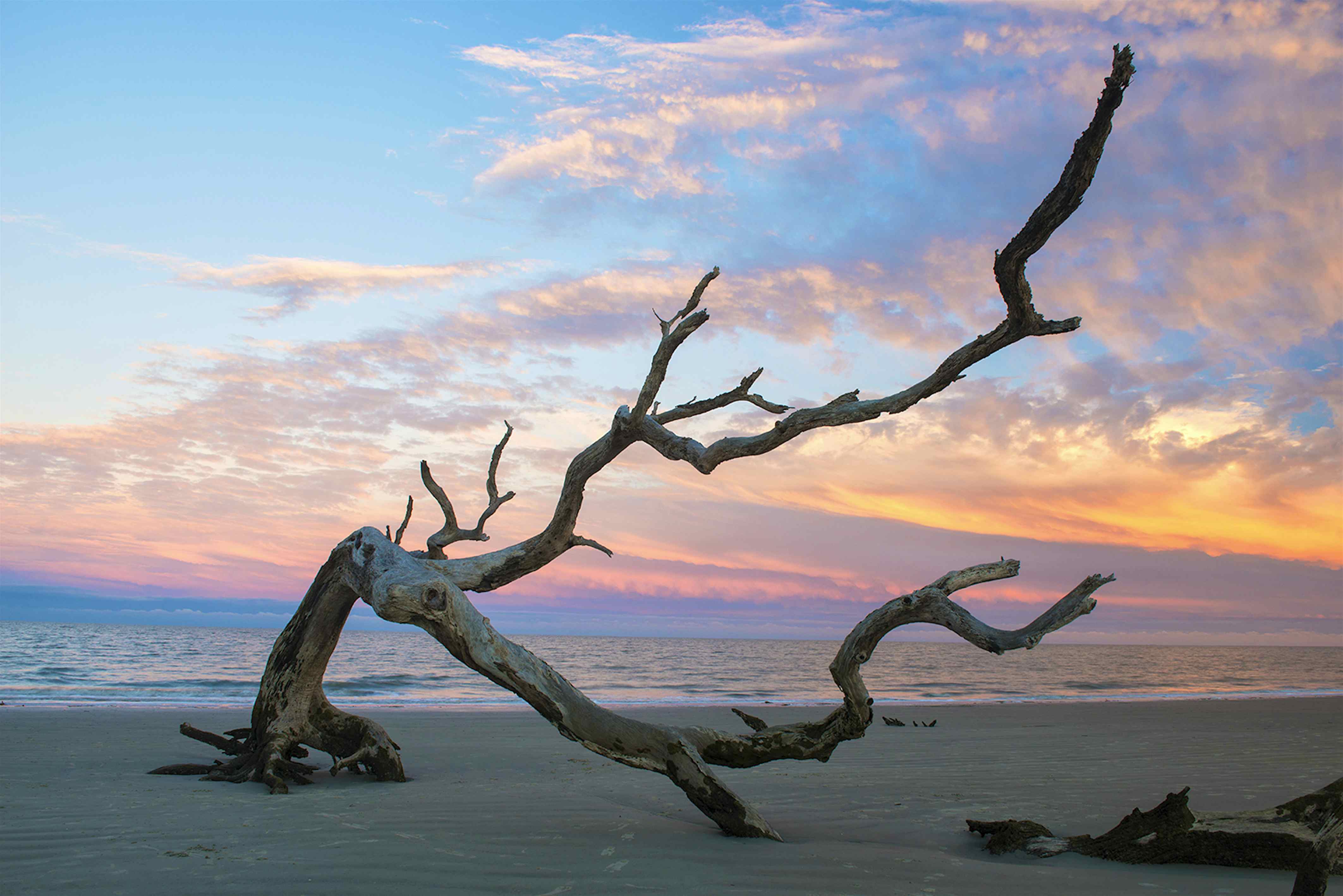 Secrets of Jekyll Island the storied past of a Golden Isle Lonely