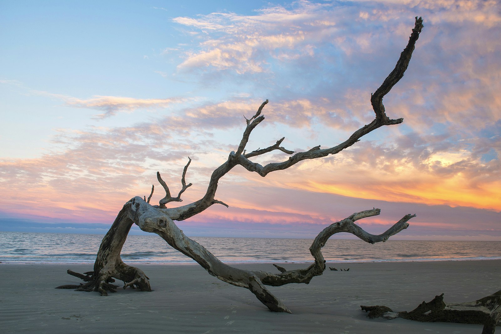 A branch lies on the beach at sunset on Driftwood Beach in Jekyll Island © Christian Herb