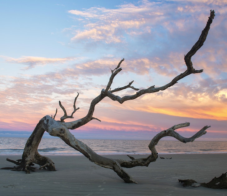 A branch lies on the beach at sunset on Driftwood Beach in Jekyll Island © Christian Herb