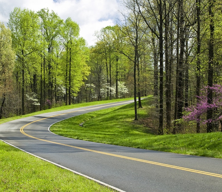 The asphalt Natchez Trace Parkway winds around a curve surrounded by green grass and budding trees, including a redbud, in the spring