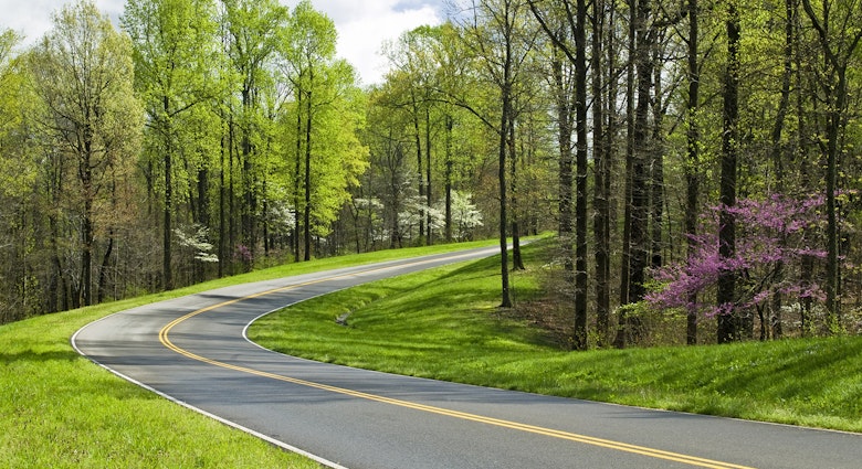 The asphalt Natchez Trace Parkway winds around a curve surrounded by green grass and budding trees, including a redbud, in the spring