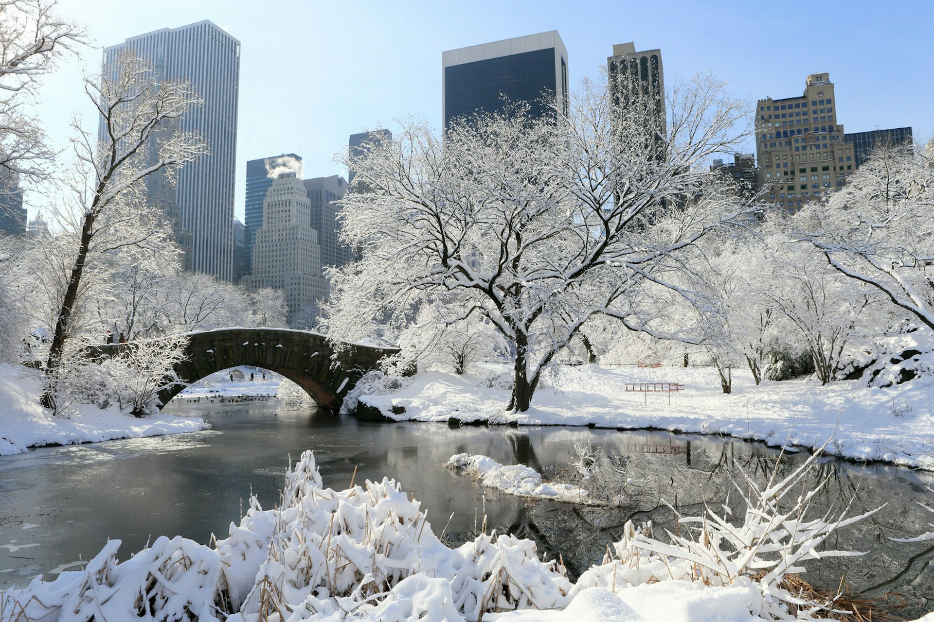 New York's Central Park blanketed in snow © EarthScape ImageGraphy / Shutterstock