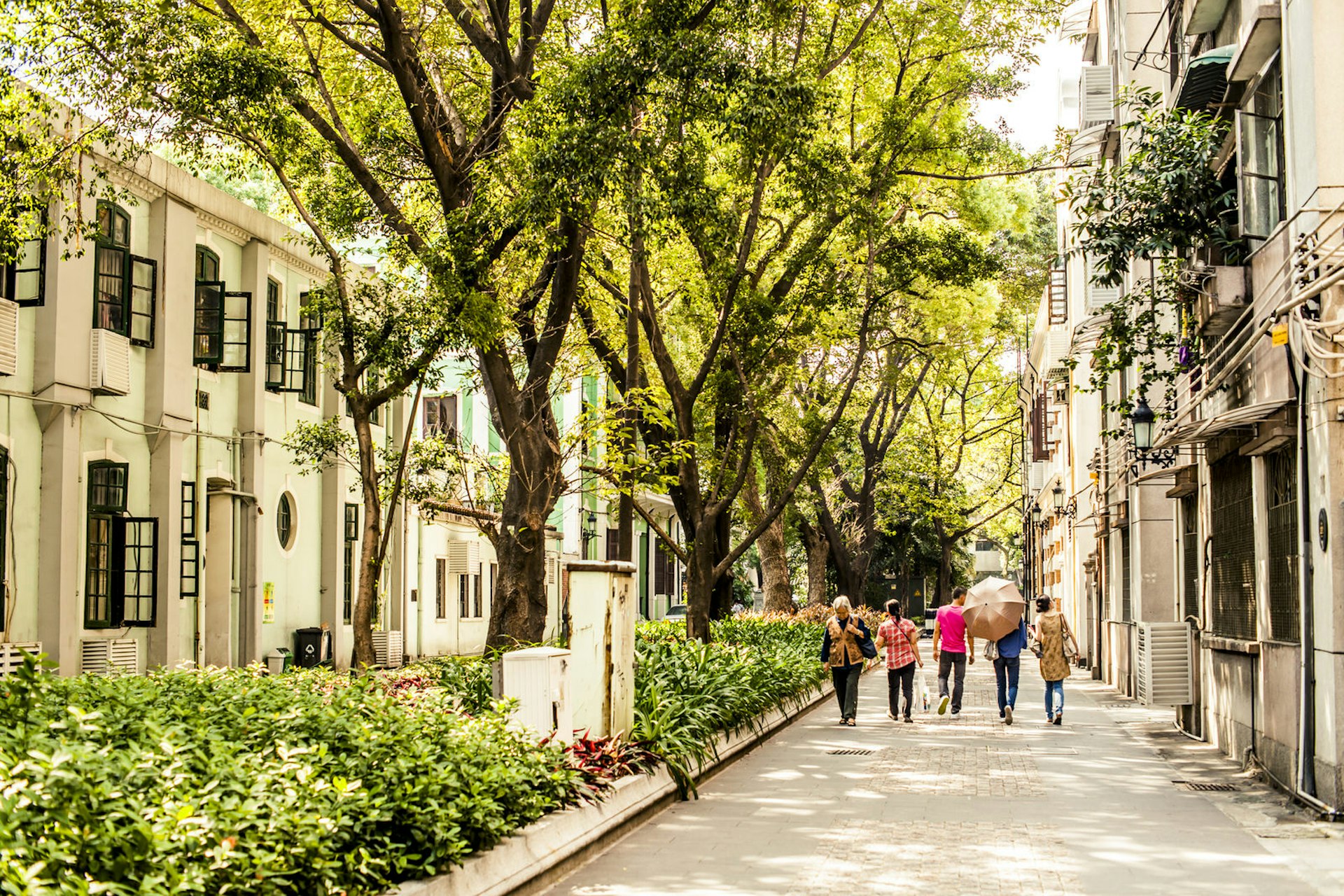The leafy heritage streets of Shamian Island, perfect for a stroll © Baiterek Media / Shutterstock