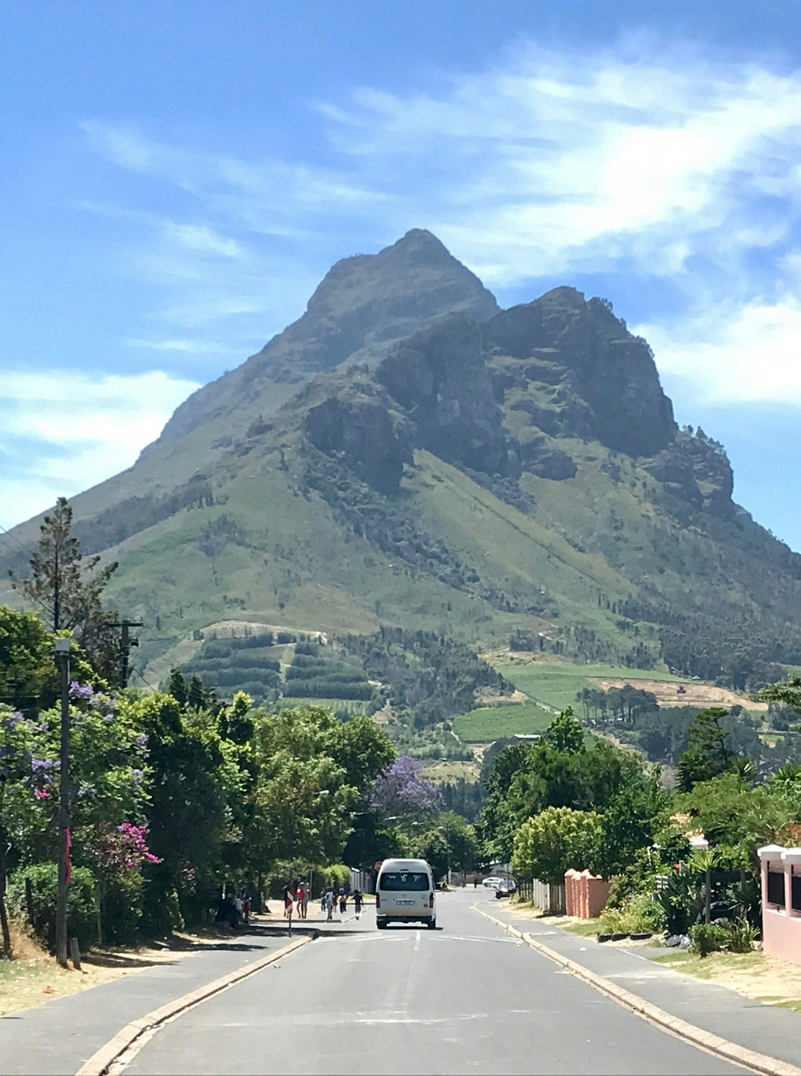 This portrait-shaped image is looking down a tree-lined road in Kylemore to the towering, green-covered mountain of Simonsberg © Simon Richmond / Lonely Planet