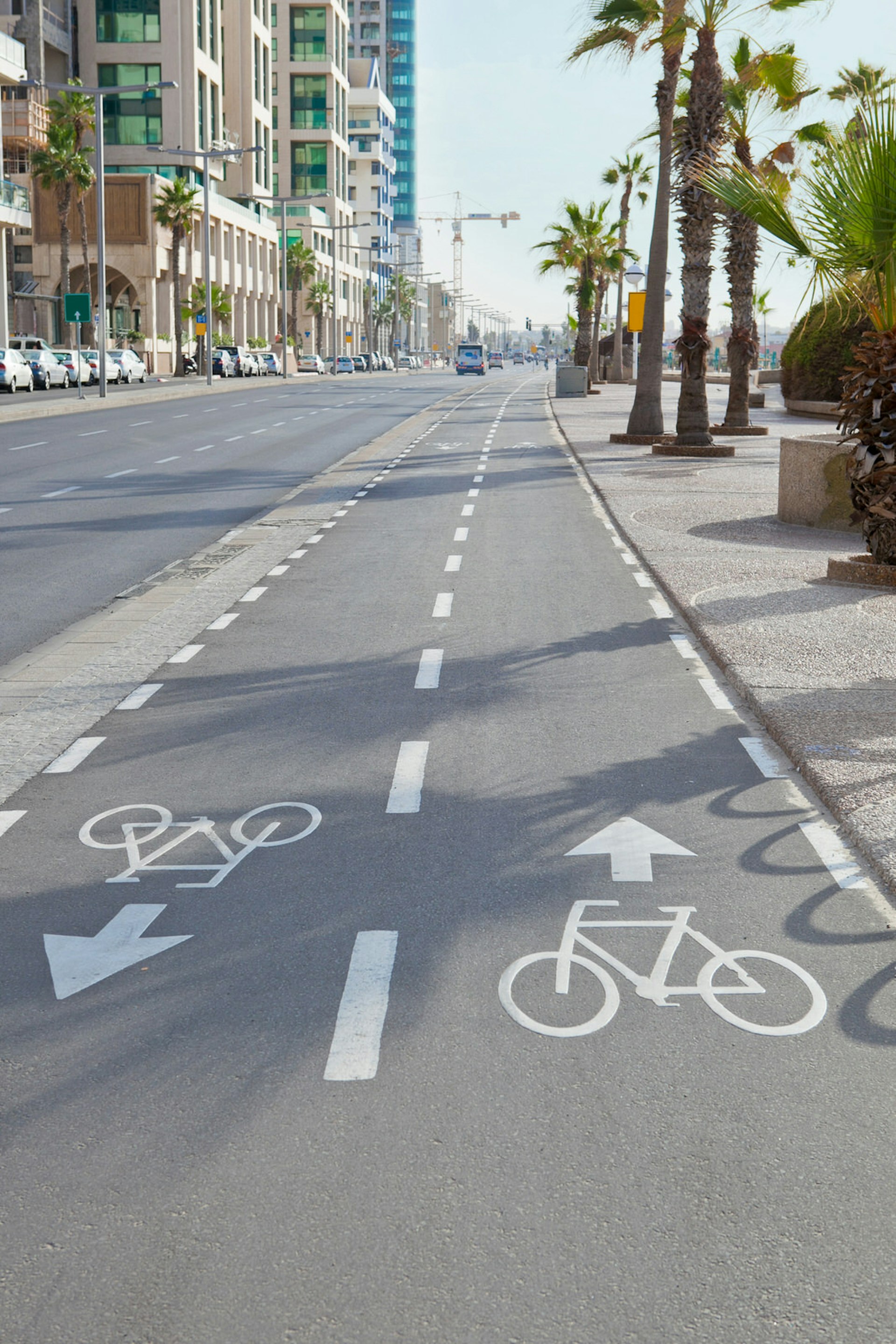 Bicycle track along the Street in Tel Aviv, Israel © Anna_G / Shutterstock