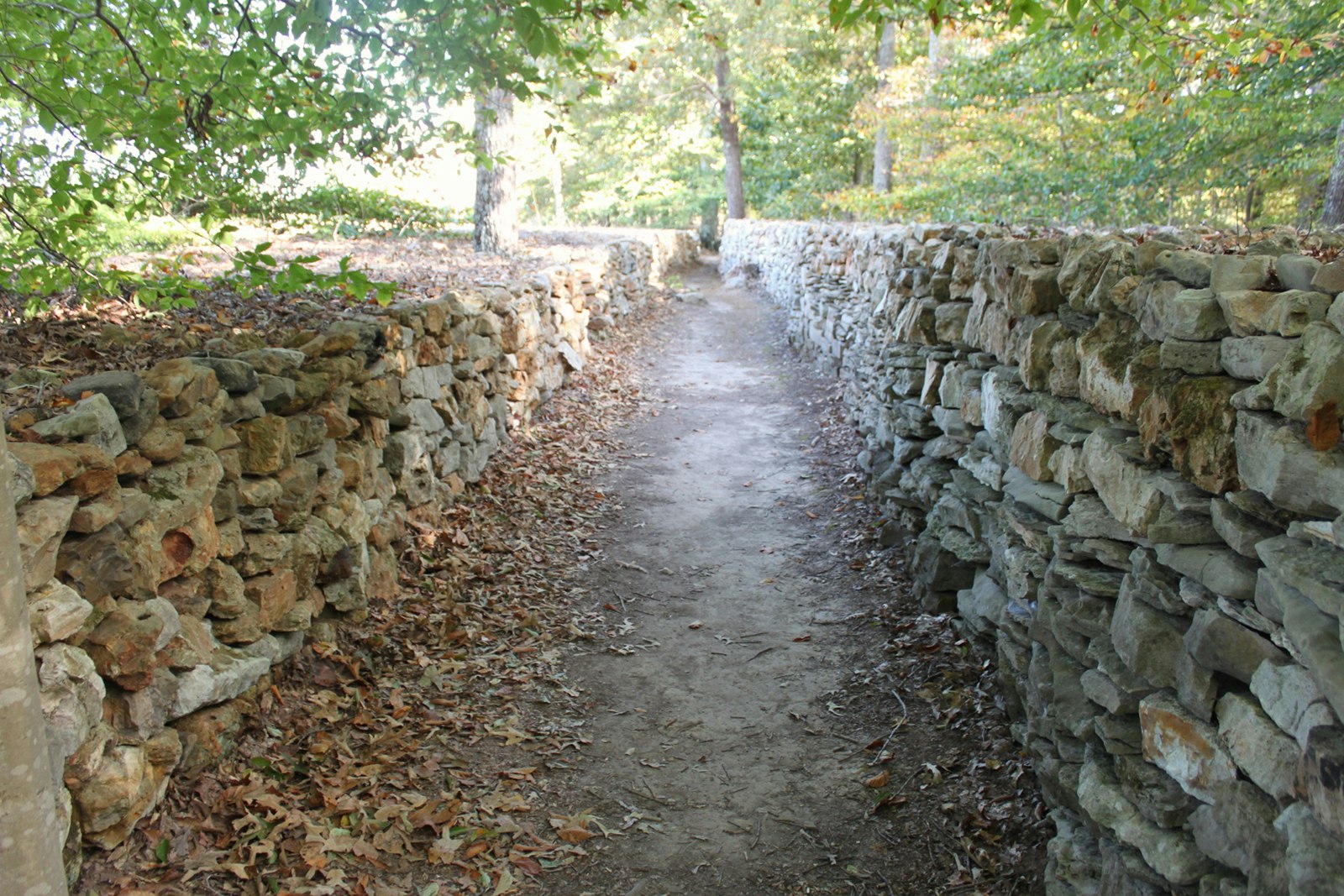 Low-angle view of a warm golden tan limestone wall outlining a dirt path with trees overhead