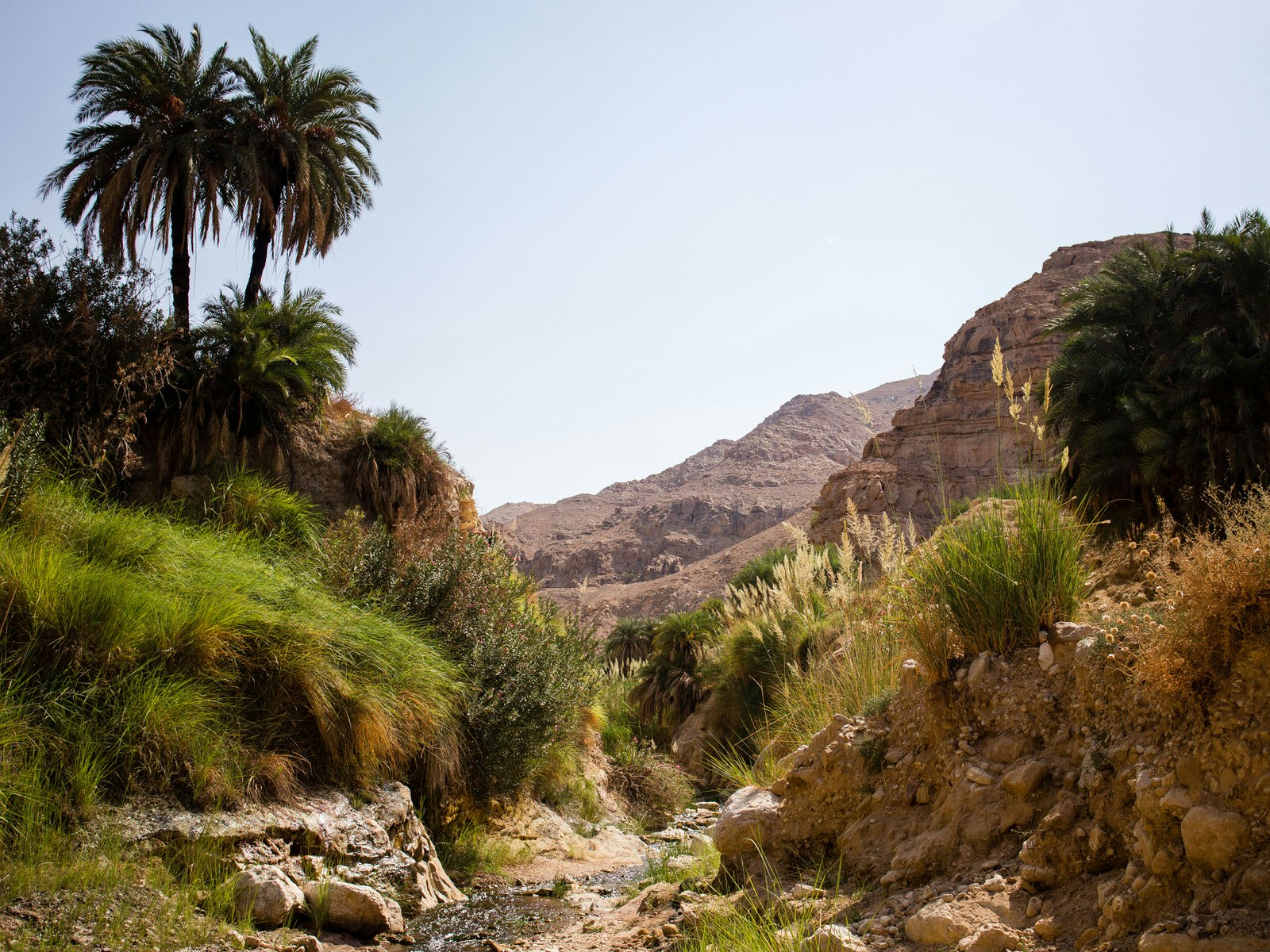 Trail into Wadi Weida'a, Dead Sea, Jordan © Stephen Lioy / Lonely Planet