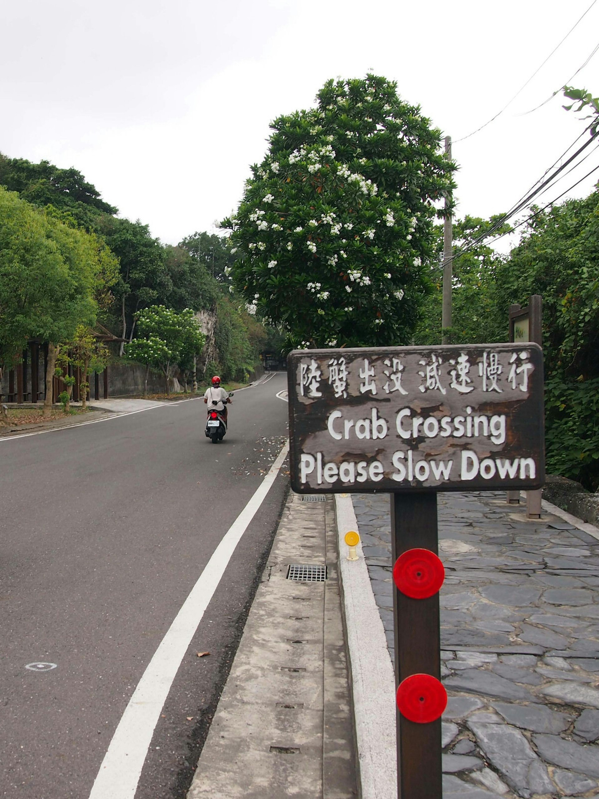 A scooter drives past a wooden sign that reads 'Crab Crossing Please Slow Down'. Drivers should take care not to disturb crabs crossing the road © Tess Humphrys / Lonely Planet