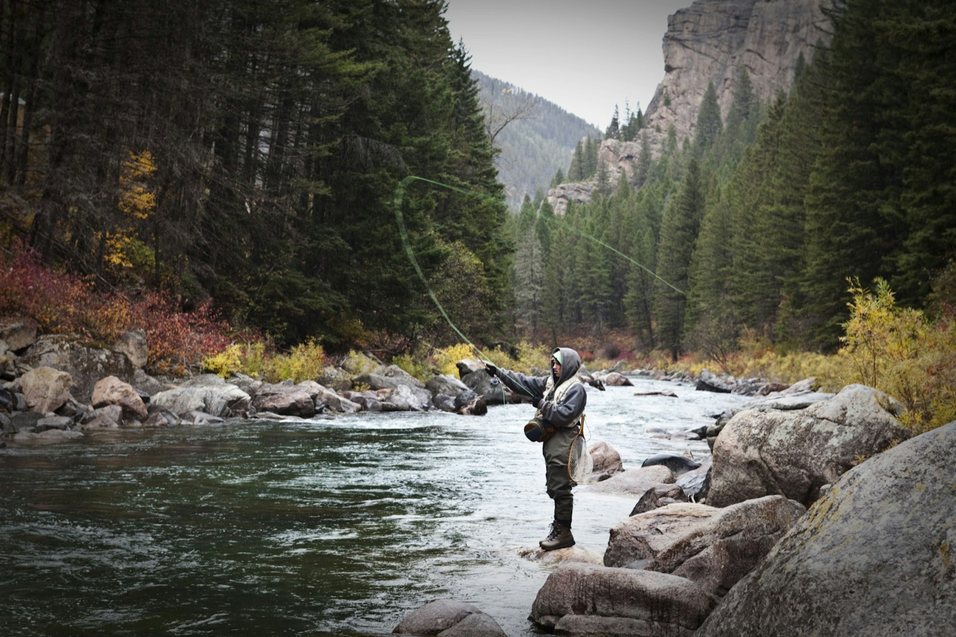 A athletic man fly fishing stands on the banks of the Gallatin River surrounded with the fall colors in Bozeman, Montana © Patrick Orton / Getty Images