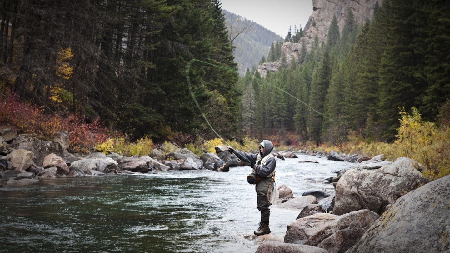A athletic man fly fishing stands on the banks of the Gallatin River surrounded with the fall colors in Bozeman, Montana © Patrick Orton / Getty Images