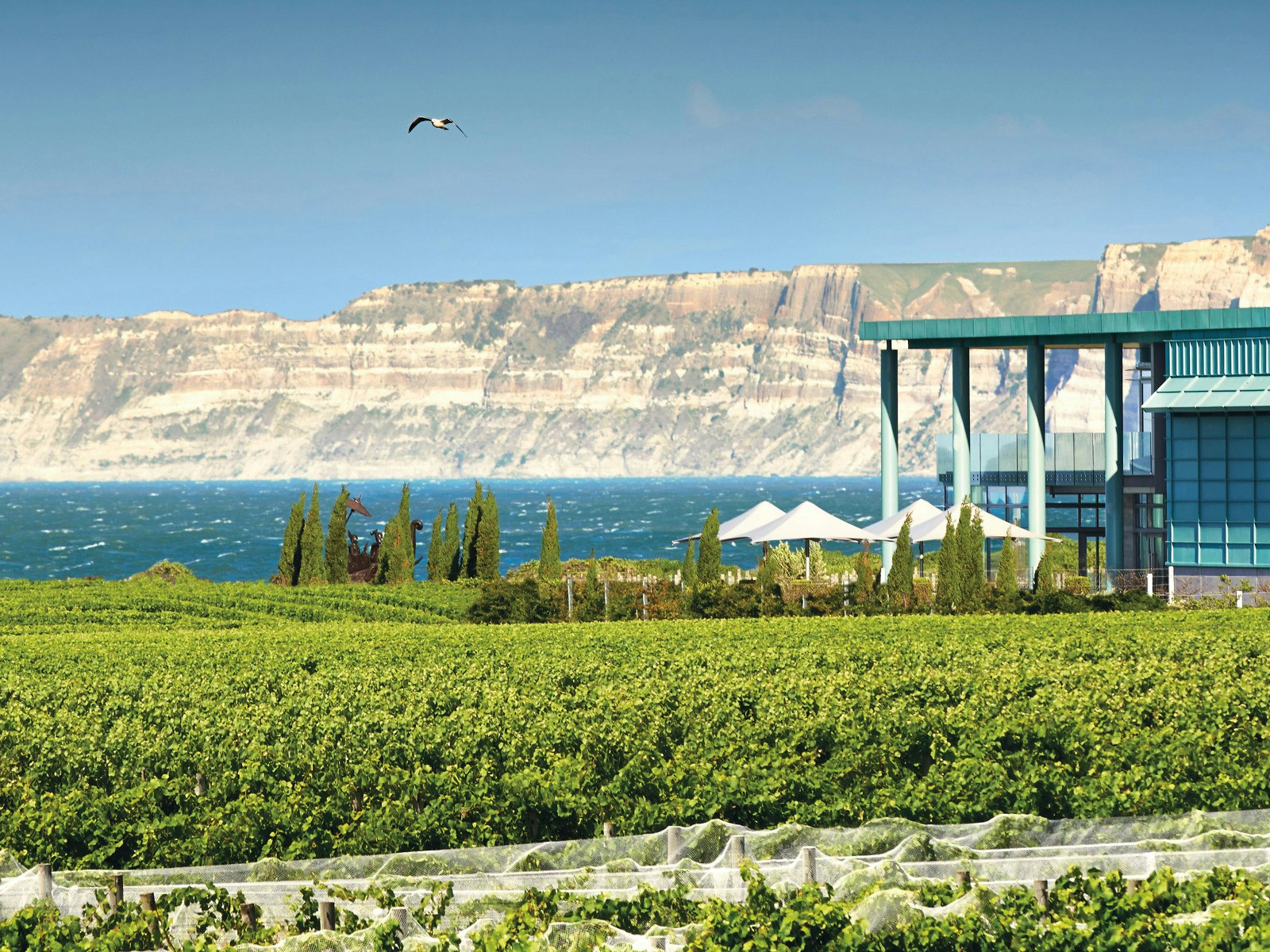 Magnificent Hawkes Bay Elephant Hill winery overlooking the Pacific Ocean © Courtesy of Elephant Hill / Brian Culy