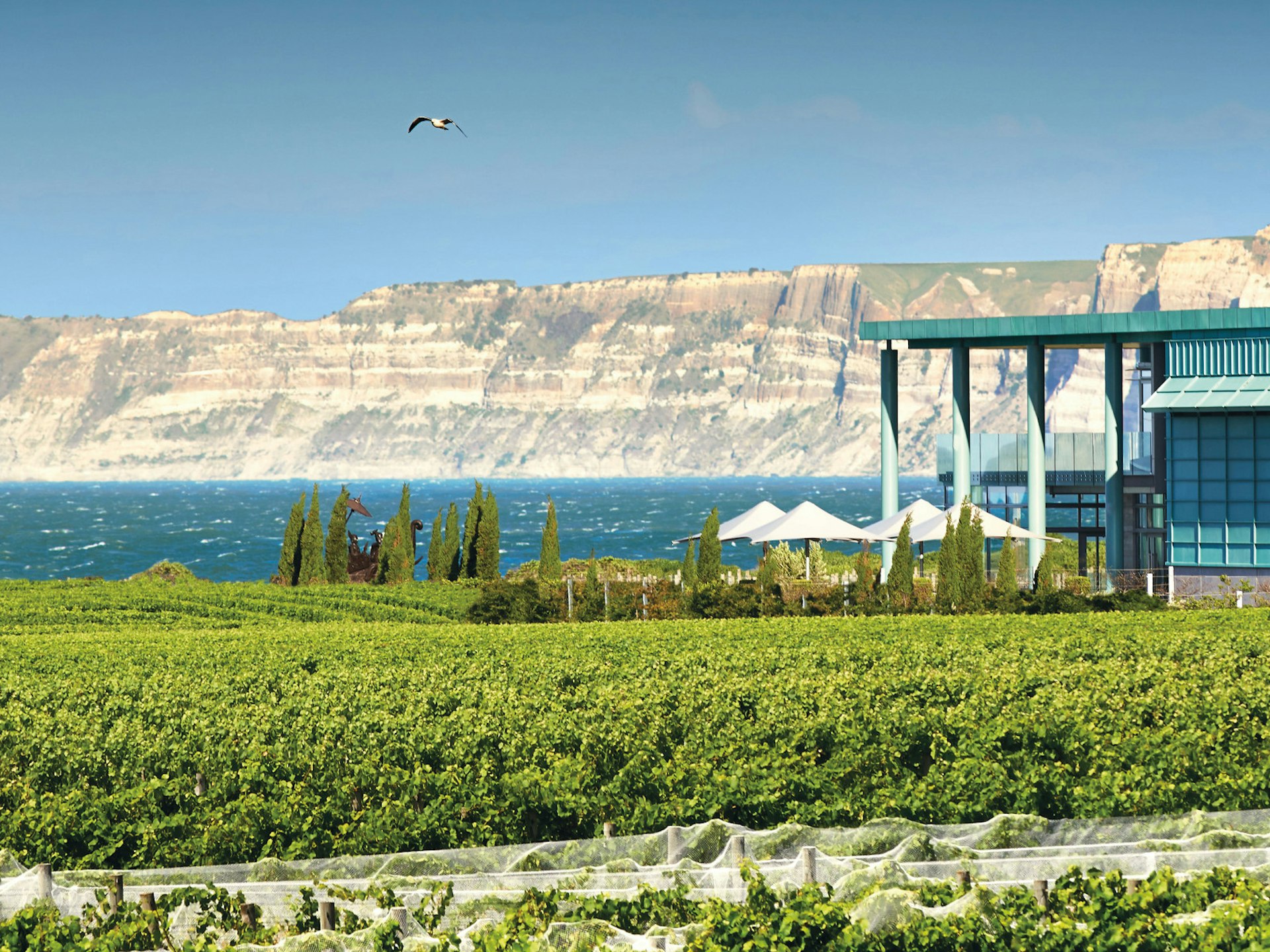 Magnificent Hawkes Bay Elephant Hill winery overlooking the Pacific Ocean © Courtesy of Elephant Hill / Brian Culy