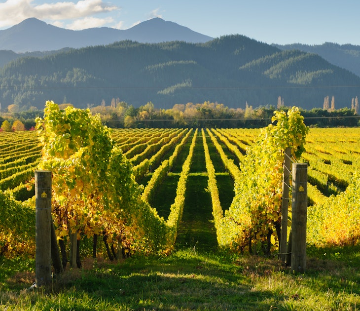 Features - Marlborough_New_Zealand-21b29efea2bd