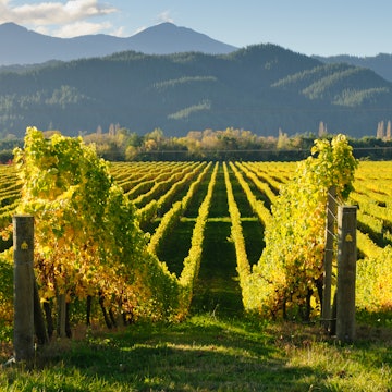 Features - Marlborough_New_Zealand-21b29efea2bd