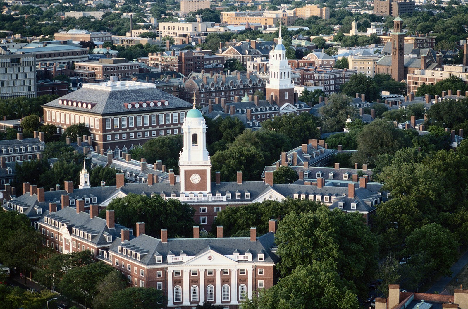 An aerial view of the steepled red-brick buildings of Harvard University in the summer
