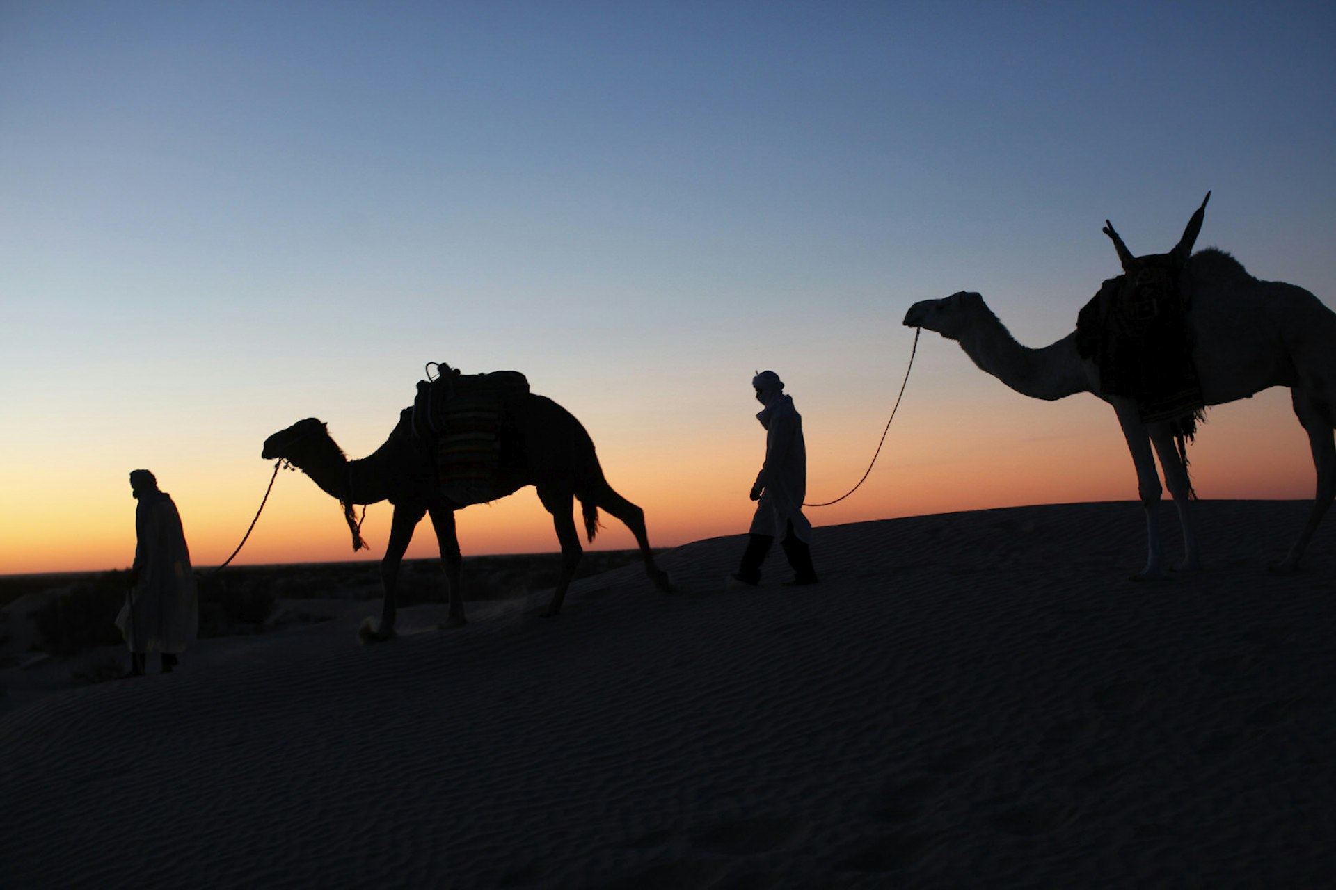 Camel drivers and camels silhouetted against the sunset at dusk in the Sahara desert, near Douz, Tunisia