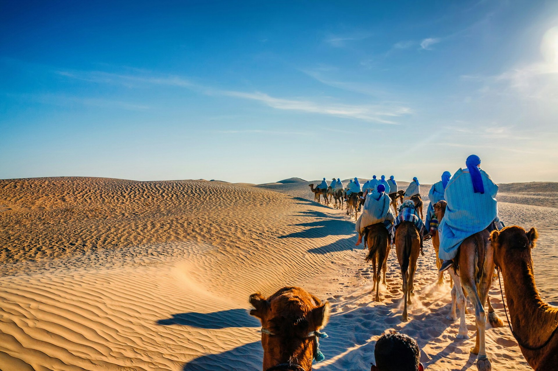 A caravan of camels walking through the sands of the Sahara Desert in Tunisia