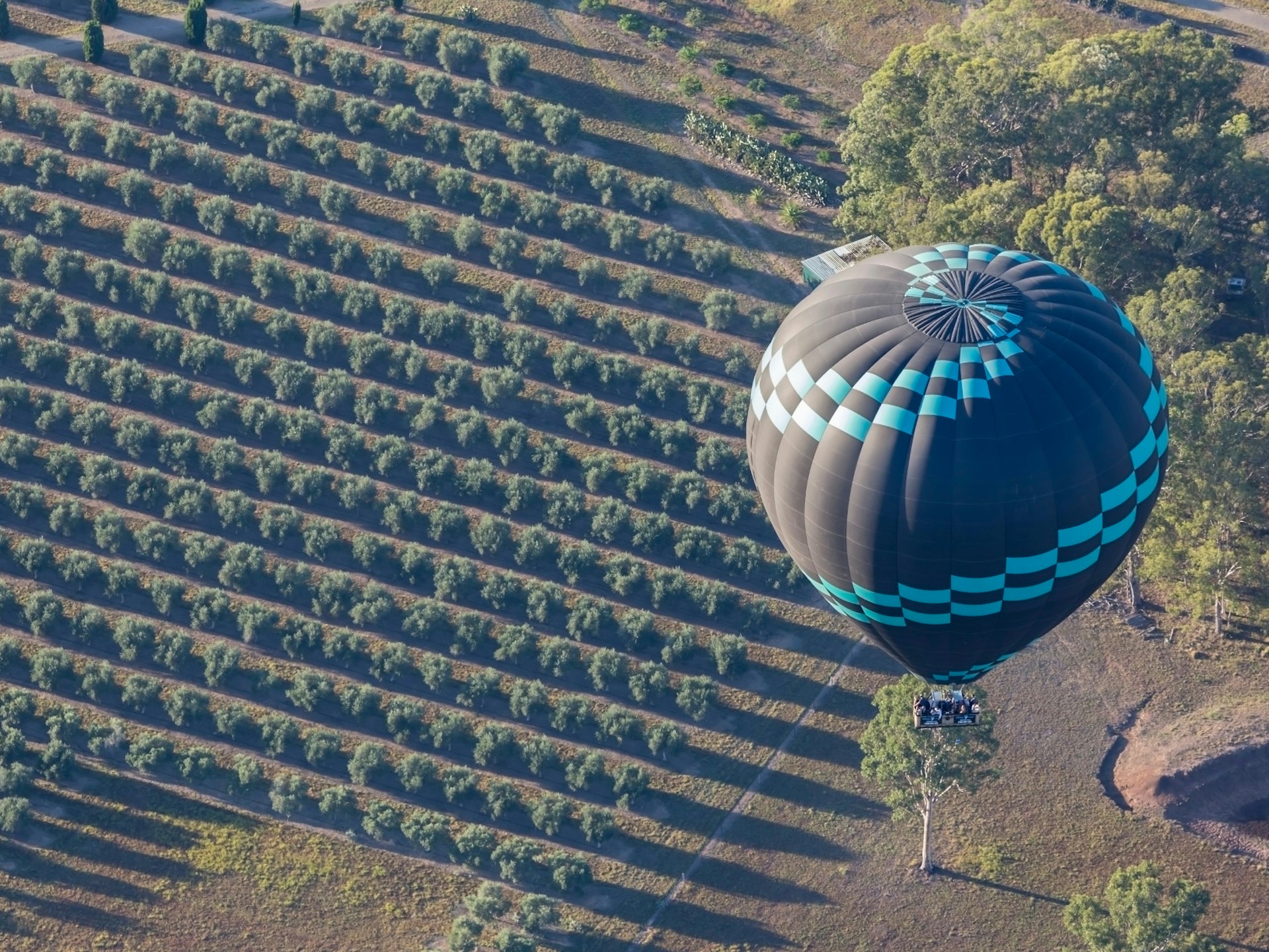 Balloons above the Hunter Valley © Wongymark1 / Shutterstock