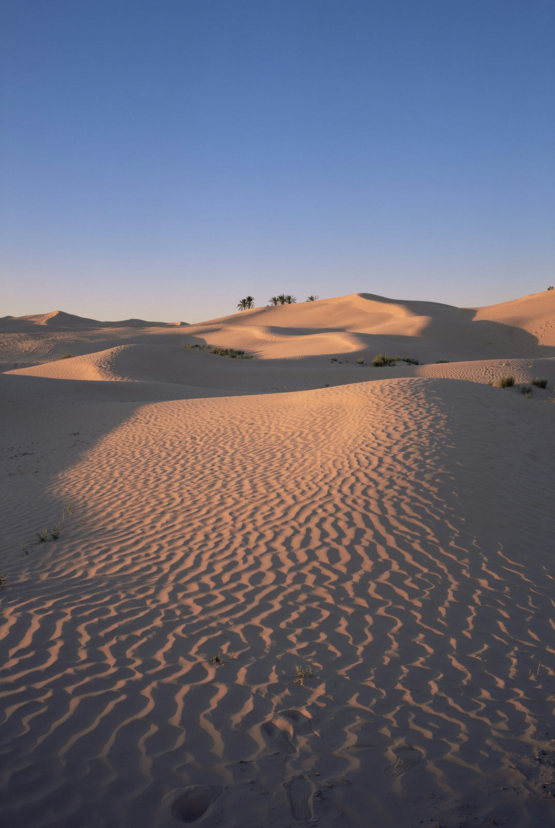 Waves of sand in the Sahara desert near Douz, Tunisia