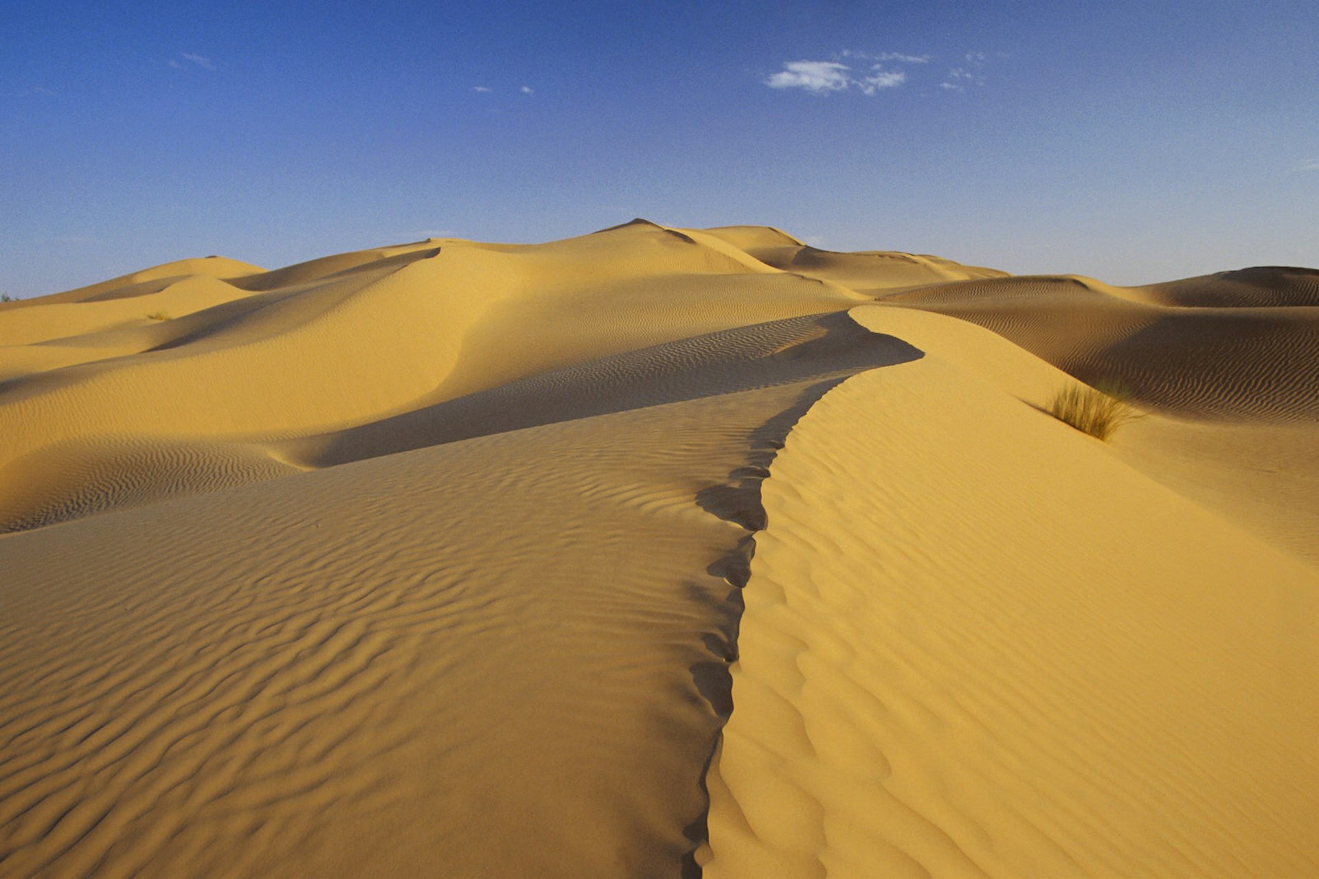 Endless sand dunes in the Sahara desert, Tunisia